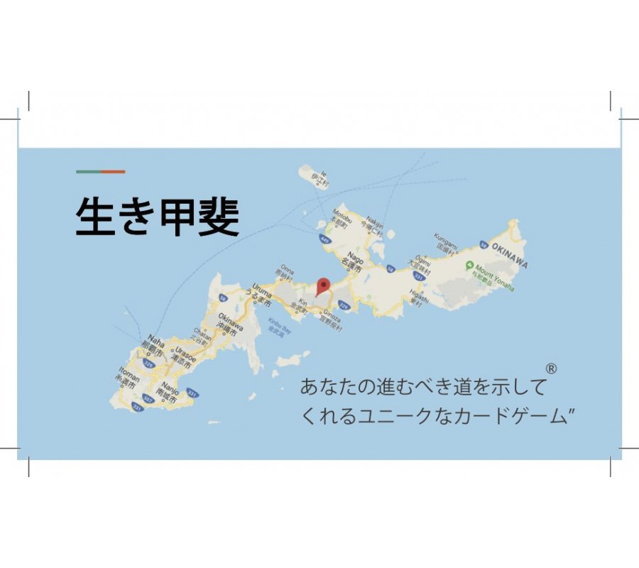 生きがいカードゲーム ニューワークス