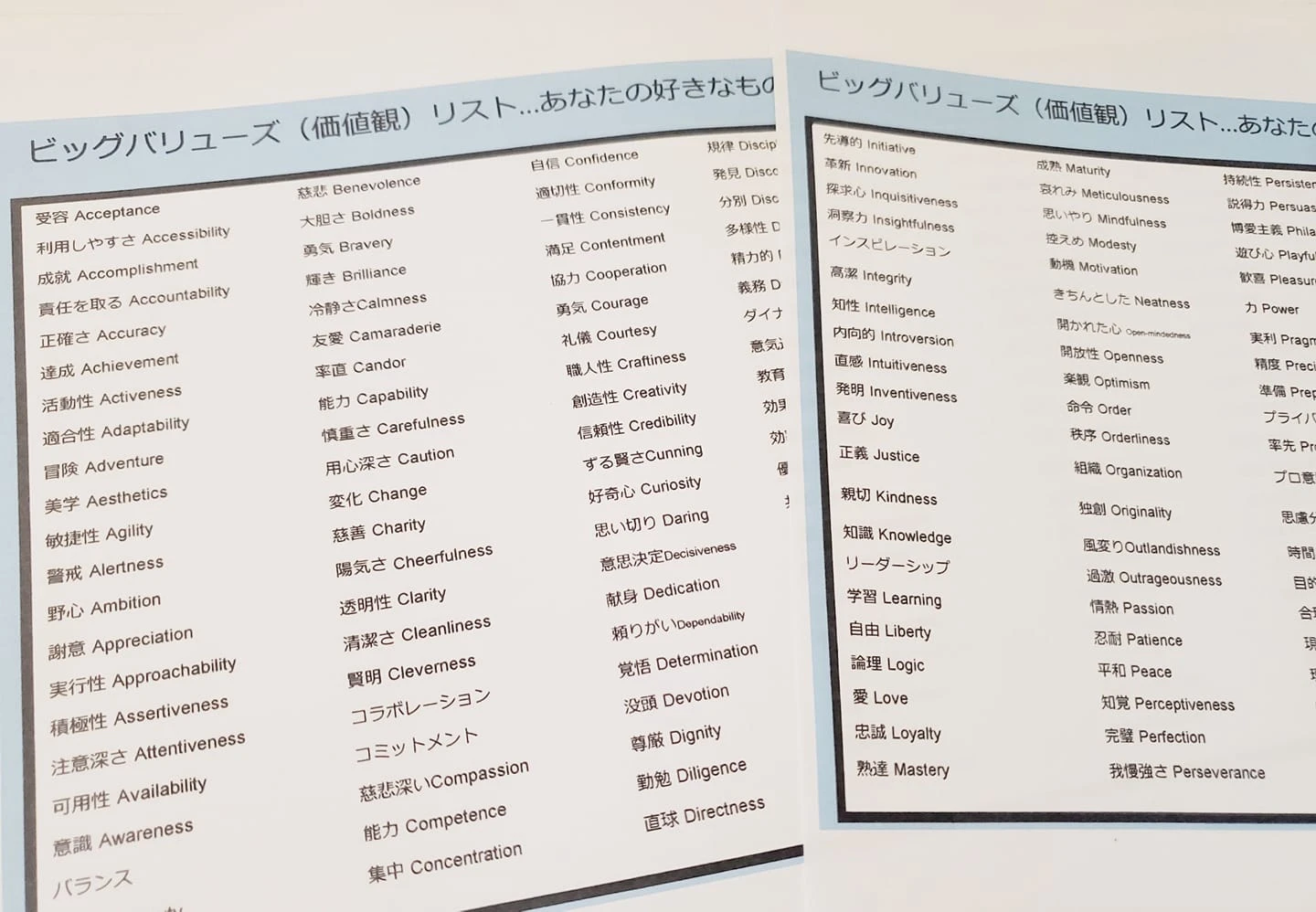 You are currently viewing 価値観リスト(ビッグバリューリスト)
